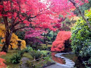 ブッチャートガーデン日本庭園2013年10月